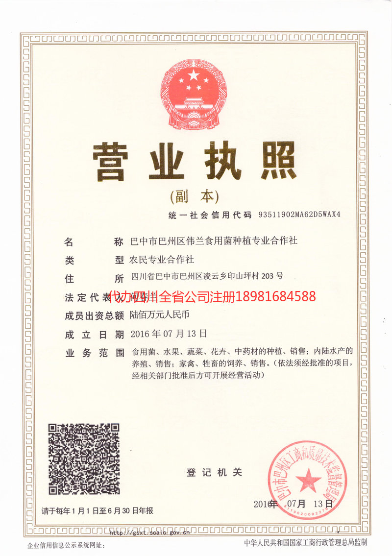 大理白族自治州大理白族自治州伟兰食用菌种植专业合作社